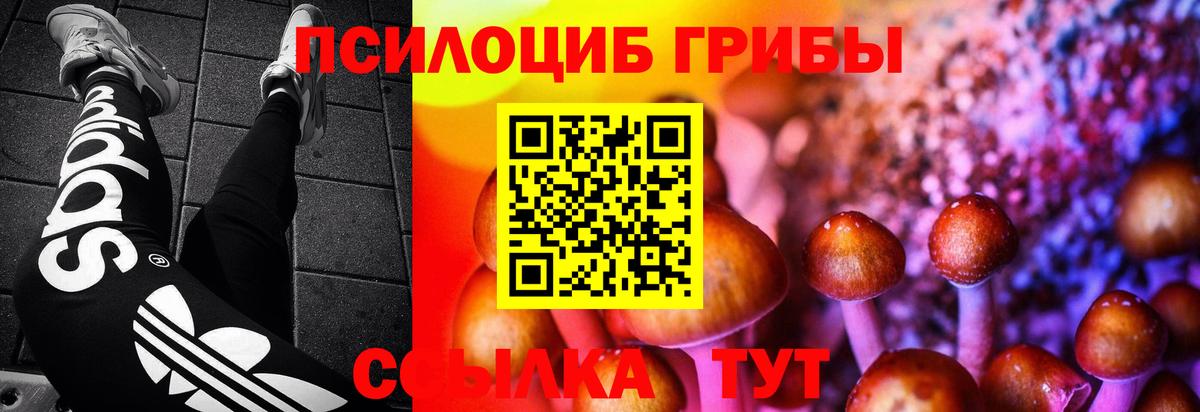 Псилоцибиновые грибы прущие грибы Чистополь