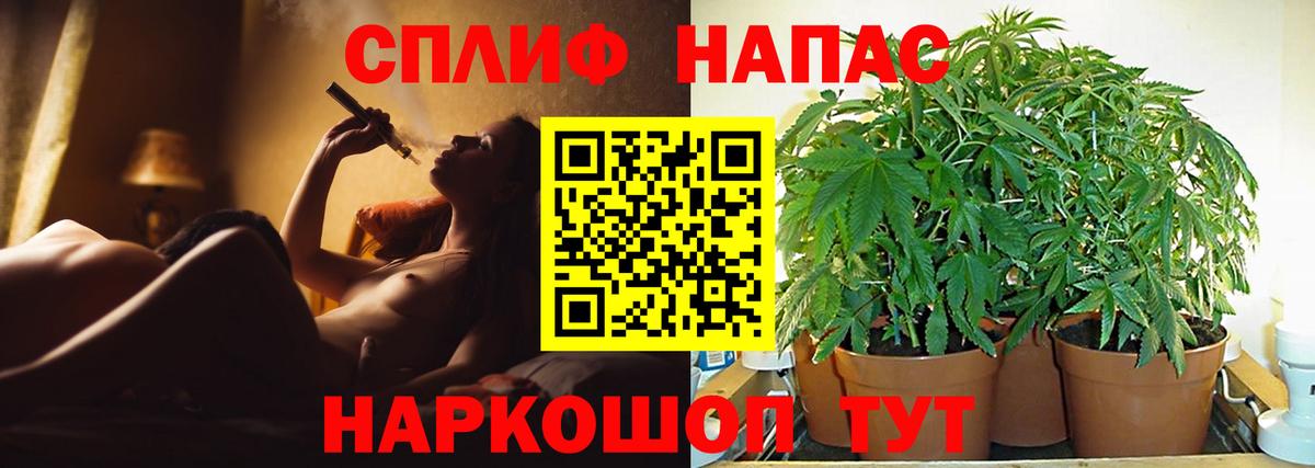 МАРИХУАНА семена  Вход с VPN  Чистополь  Канабис OG Kush  Марихуана сатива 